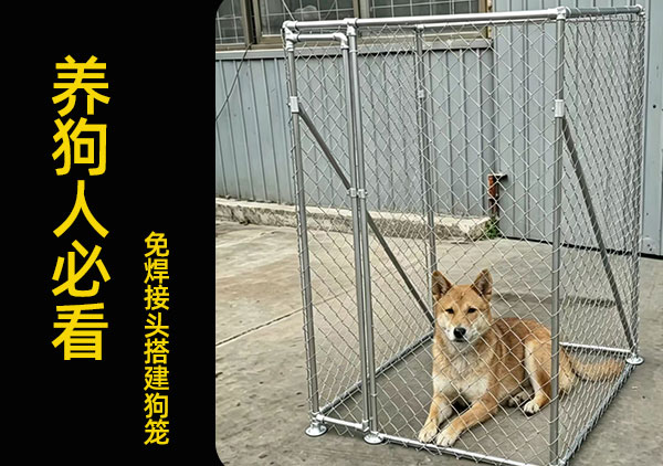 免焊接头轻松搭狗笼快速牢固